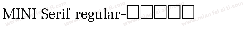 MINI Serif regular字体转换